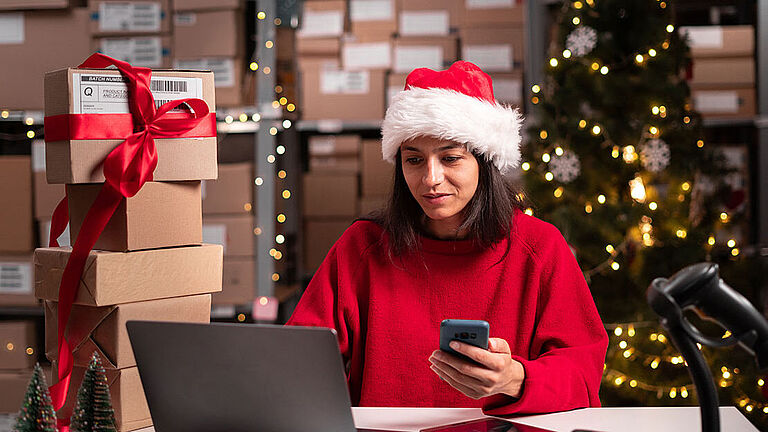 Schmuckbild: Frau im Nikolausoutfit vor einem aufgeklappten Notebook. Im Hintergrund ein Regal mit Kartons und ein Weihnachtsbaum 